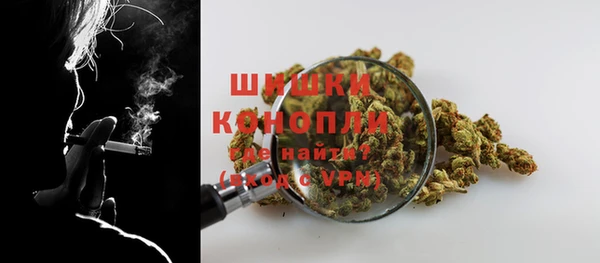 apvp Вяземский