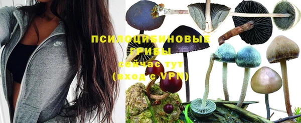 гашиш Горнозаводск