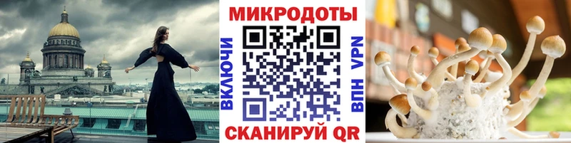 Псилоцибиновые грибы Psilocybine cubensis  Купить  Цоци-Юрт 